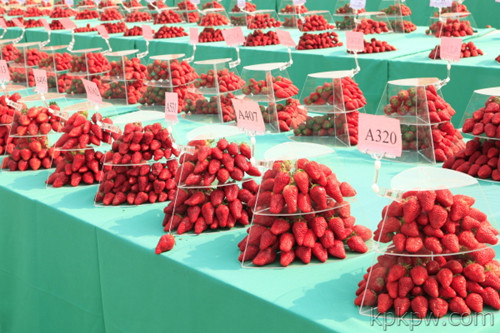 http://www.93longfengyou.com/upload/shop/article/05219106871368347.jpg
