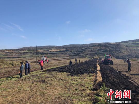 圖為在甘肅渭源縣會(huì)川鎮(zhèn)標(biāo)準(zhǔn)化種植的藥材地里，駛過的農(nóng)用機(jī)車快速地將黃芪從土里翻出。　徐雪 攝